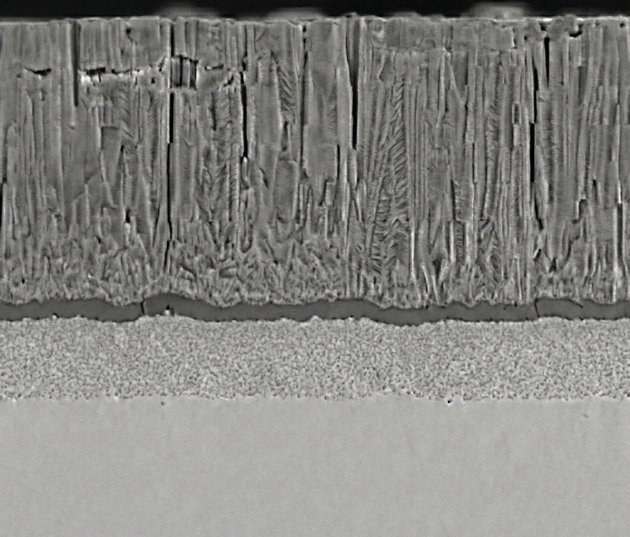 TBC Microstructure Cross-section